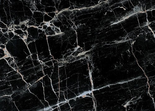 Square Edge Designer Black Flamingo Vitrified Tiles