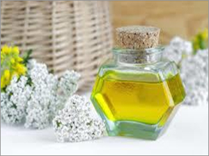 Yarrow Oil - 100% Pure Natural Extract | Therapeutic Properties for Culinary and Aromatherapy Uses