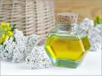 Yarrow Oil - 100% Pure Natural Extract | Therapeutic Properties For Culinary And Aromatherapy Uses