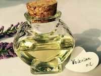 Valerian Root Oil Volume: 100 Kilogram(kg)
