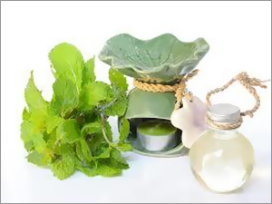 Rk Products Spearmint Oil