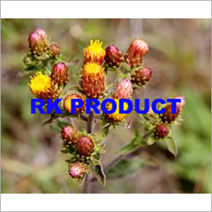 Rk Products Spikenard Oil
