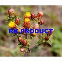 Rk Products Spikenard Oil