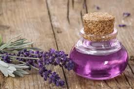 Lavender Oil Volume: 100 Kilogram(Kg)