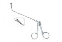 Sinus Punch Forceps