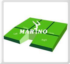 Pole Vault Pit Stadium