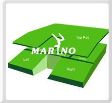 Pole Vault Pit Training