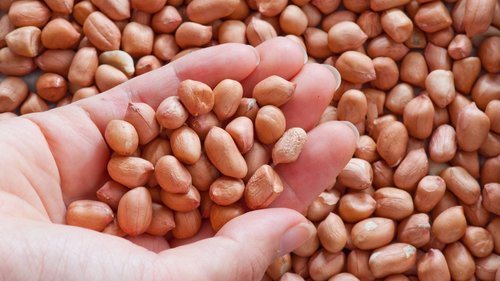 Peanut Kernel Broken (%): 2%