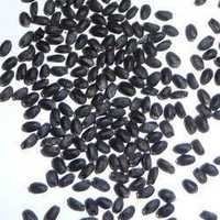 Basil Seeds - Small Oval Black Seeds | Smooth Texture, Natural Culinary And Medicinal Uses, Bulk Packaging