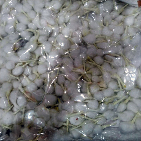 Cotton Wicks