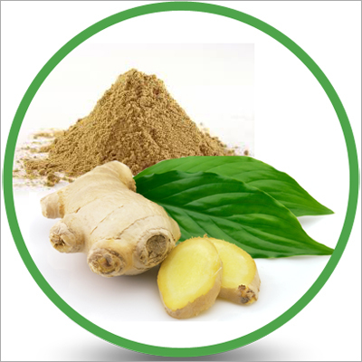 Dehydrated Ginger Powder Dehydrated Ginger Powder