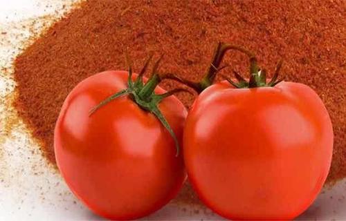 Spray Dried Tomato Powder Spray Dried Tomato Powder