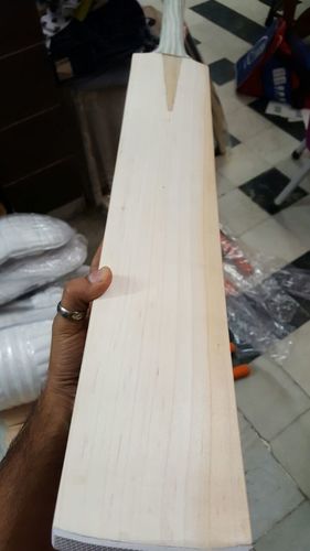 kasmiri willow basic