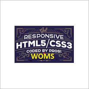 Web Designing Service