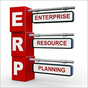 ERP Software Services