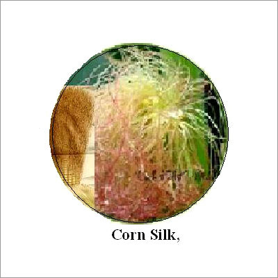 Corn Silk Tea