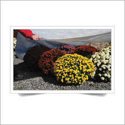 Non Woven Agriculture Products