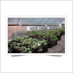 Root Control Non Woven Bag