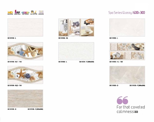 Ceramic Wall Tiles 300X600mm