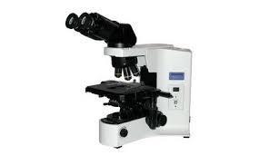 Microsope