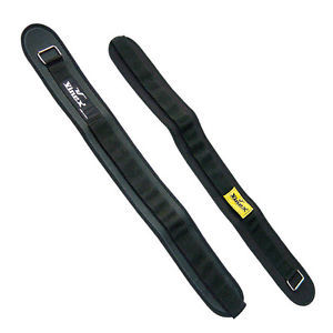 Weight Lifting Belt