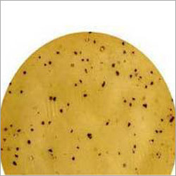 Moong Kam Masala Papad