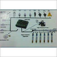 Stanadyne Fuel Injector And Nozzle Assembly