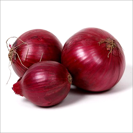 Onion