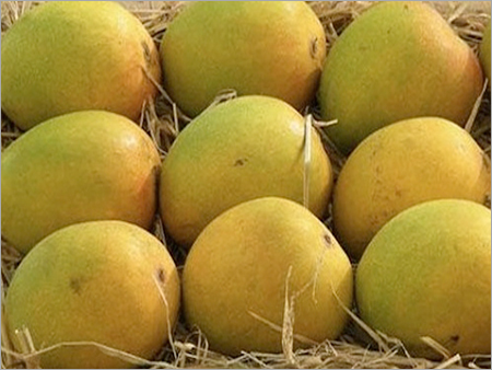 Mango Alfonso