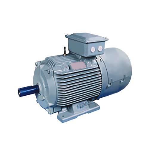 Crane & Hoist Duty Motors