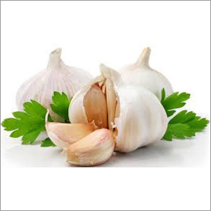 Indian White Garlic