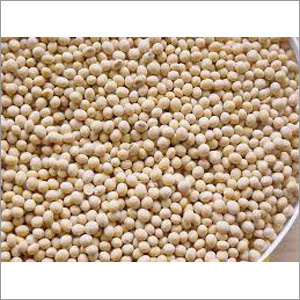 Organic Soybean Seeds