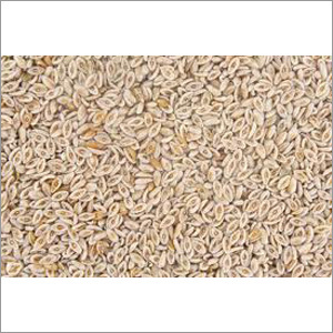 Psyllium Husk Powder