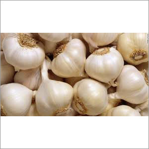 White Garlic Granules