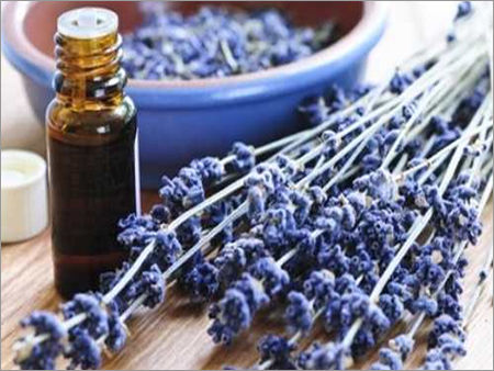 Lavender Oil