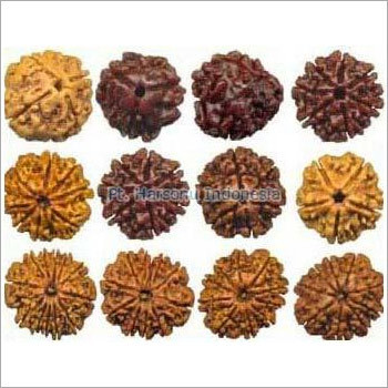 Rudraksha Beads