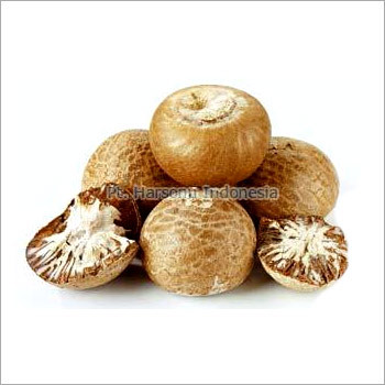 Betel Nuts
