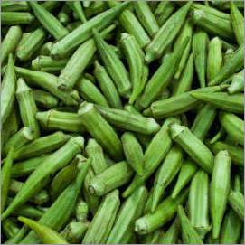 Okra Ladyfinger