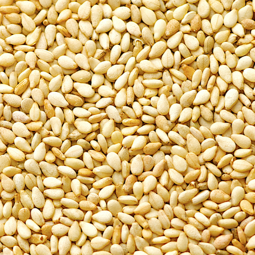 White Sesame Seed