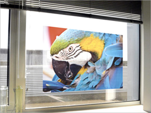Digital Window Graphics