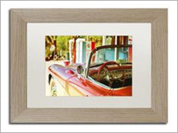 Promotional Printing Services