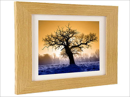 Photographic Print Services