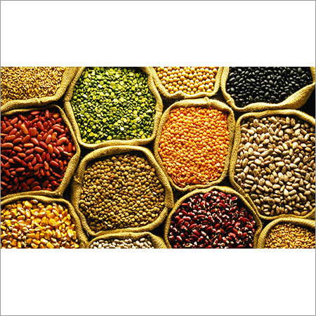 Organic Pulses Organic Pulses