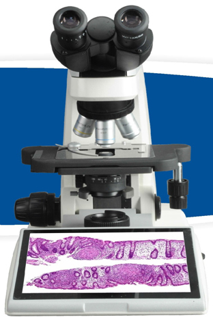 Digital Biological Microscope Rxlr-4D Dimensions: -