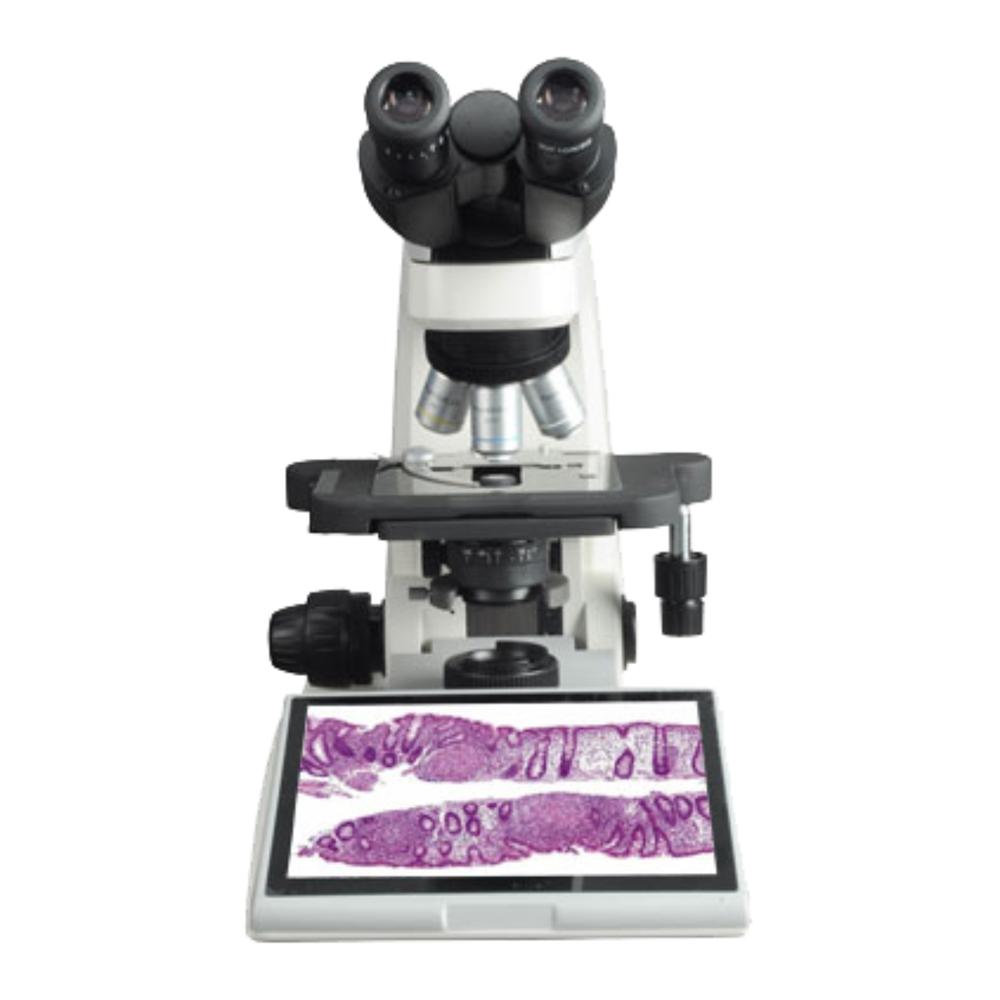 Digital Biological Microscope RXLr-4D