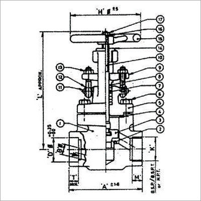 Forged Steel Globe Valve
