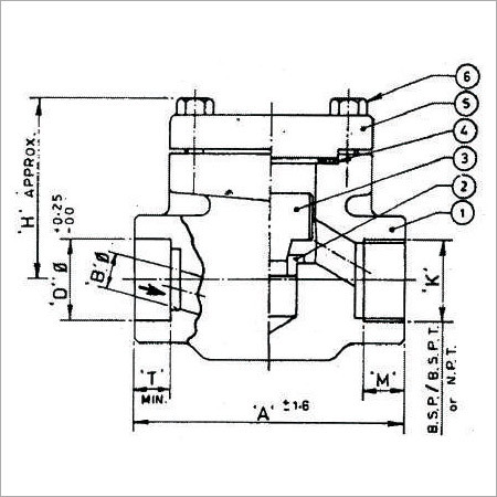 Forged Steel Life Check Valve