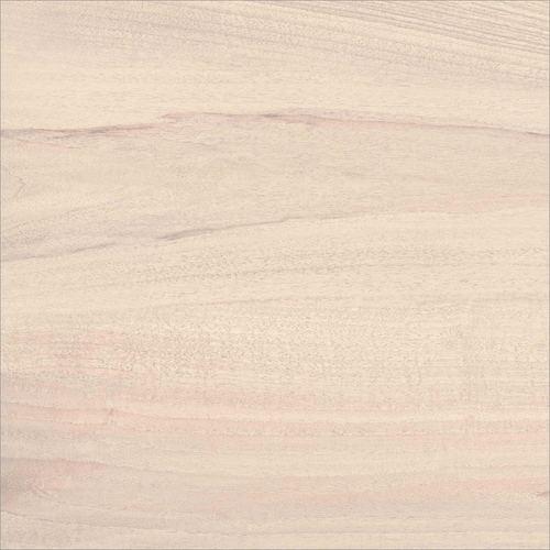 Matt Finish Digital Glazed Vitrified Floor Tiles