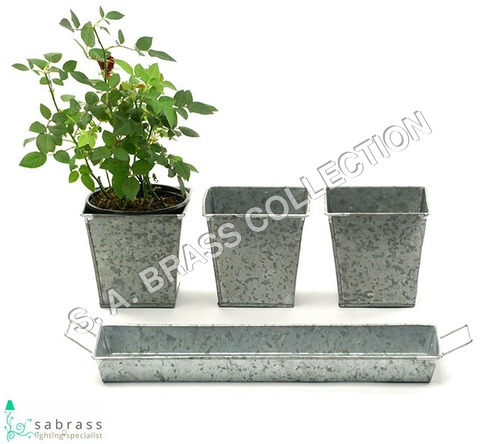 Galvanized Garden Tin herb container with Tray