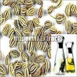 Ajwain Oil